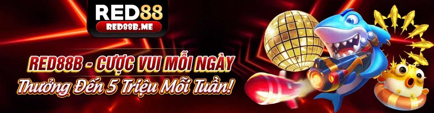Sân vận động sôi động với cá cược thể thao SBOBET Trang Chủ